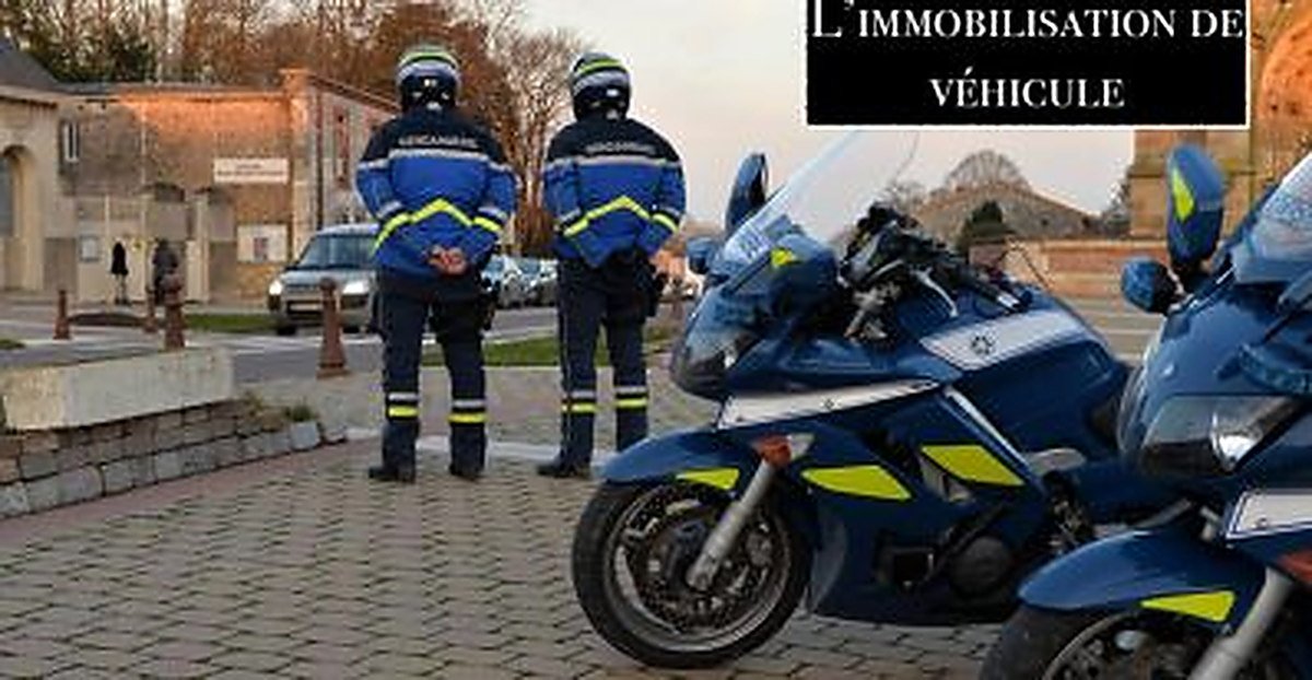 Carte grise non faite, qu’est ce qu’une immobilisation du véhicule par les forces de l’ordre?